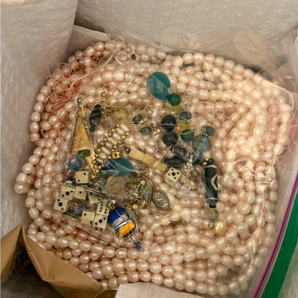 Ivy - Picture 14 of 15